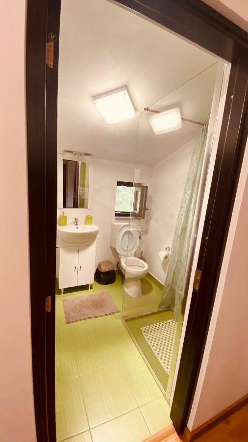 Casa Dintre Brazi Homestay