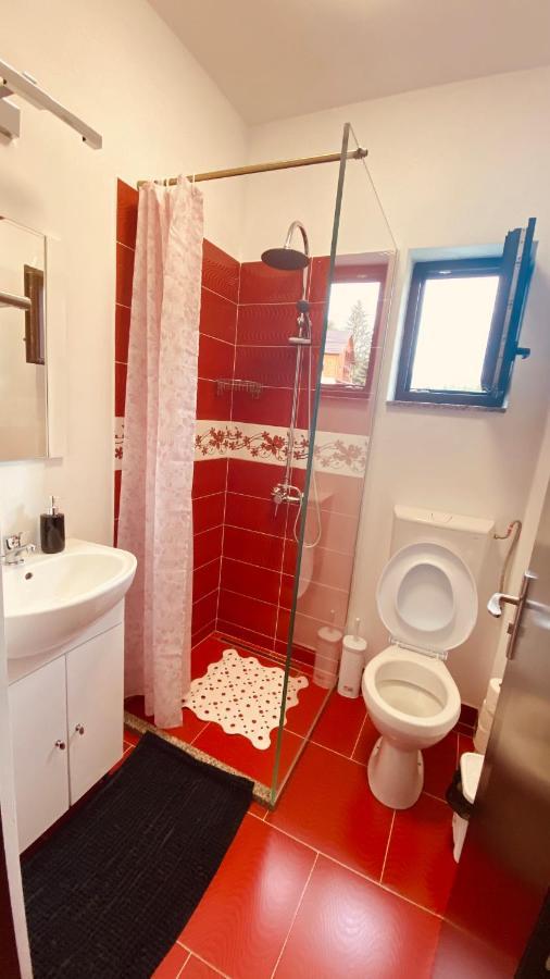 Casa Dintre Brazi Homestay Statjunea Borsa