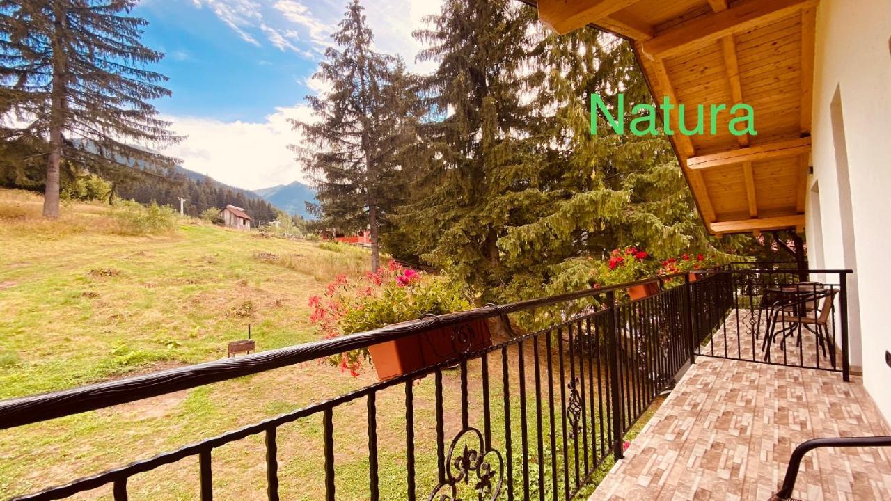 Casa Dintre Brazi Homestay