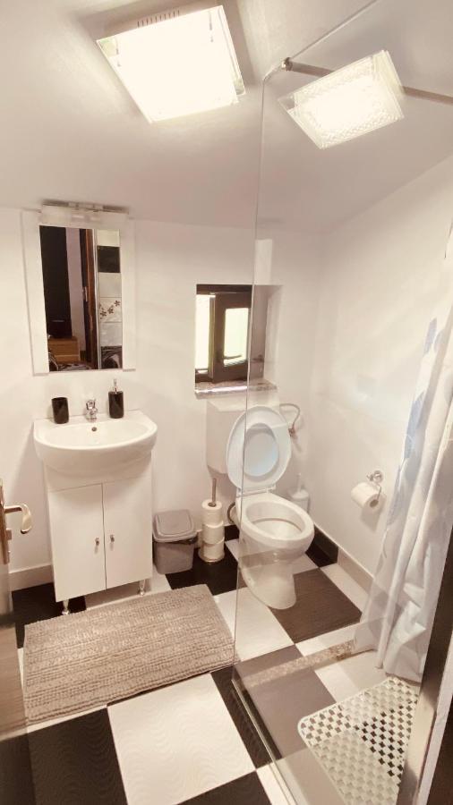 Casa Dintre Brazi Homestay Statjunea Borsa