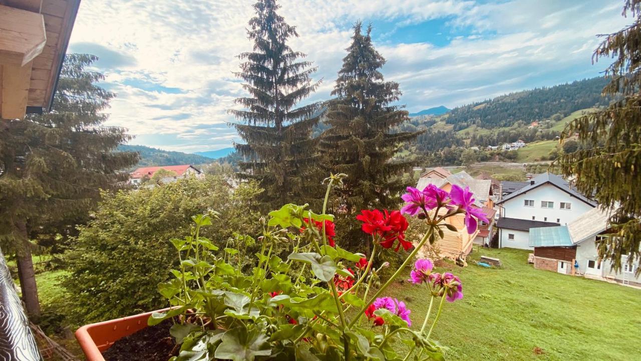 Homestay Casa Dintre Brazi Statjunea Borsa