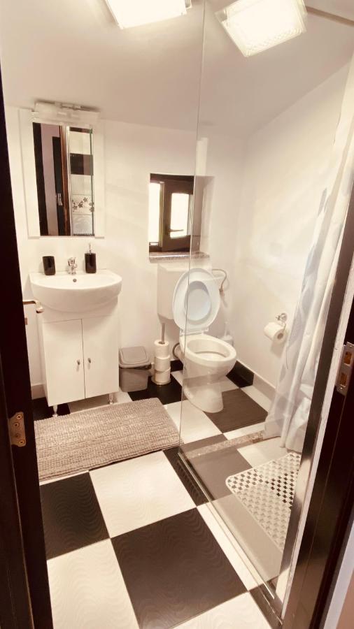 Homestay Casa Dintre Brazi Statjunea Borsa