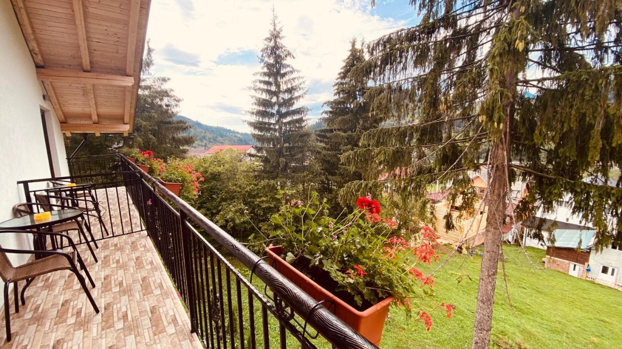 Homestay Casa Dintre Brazi Statjunea Borsa