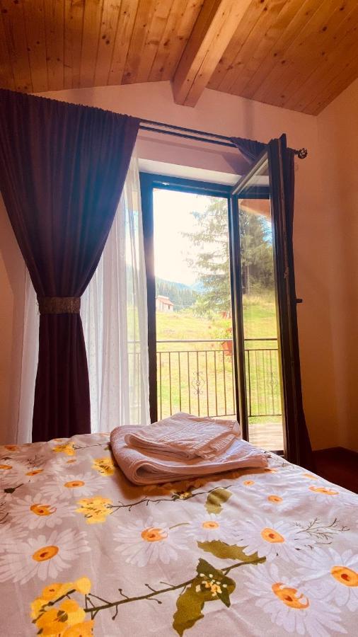 Homestay Casa Dintre Brazi