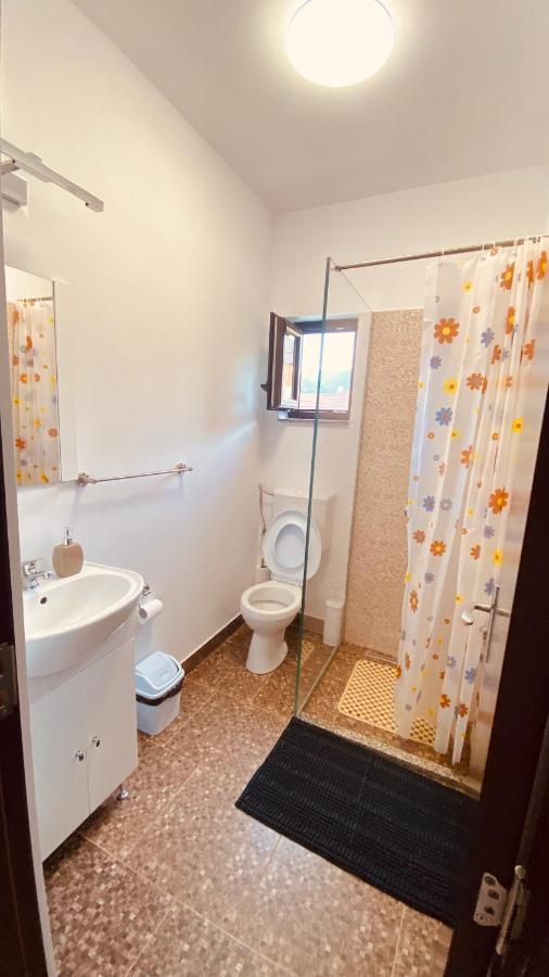 Casa Dintre Brazi Statiunea