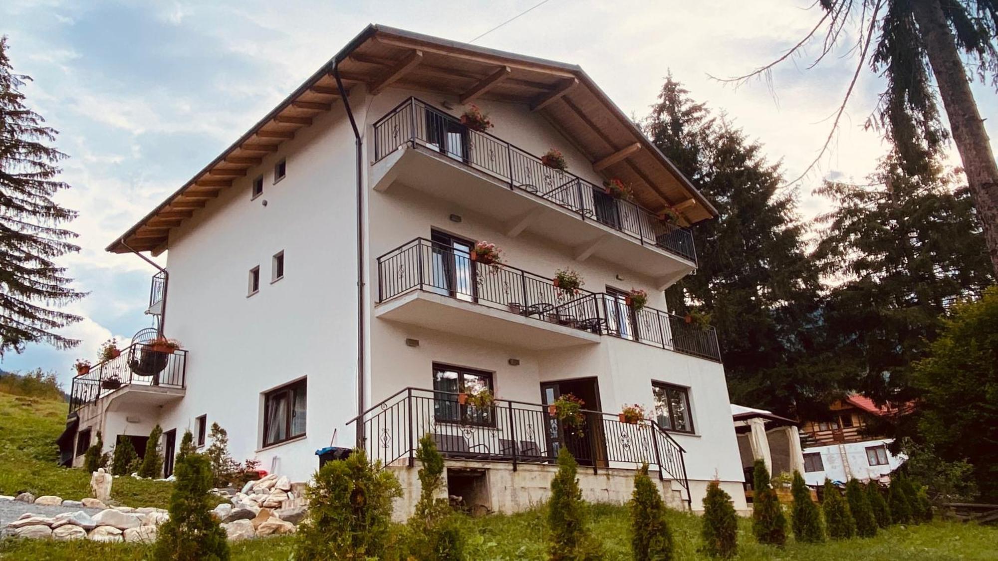 Casa Dintre Brazi Homestay